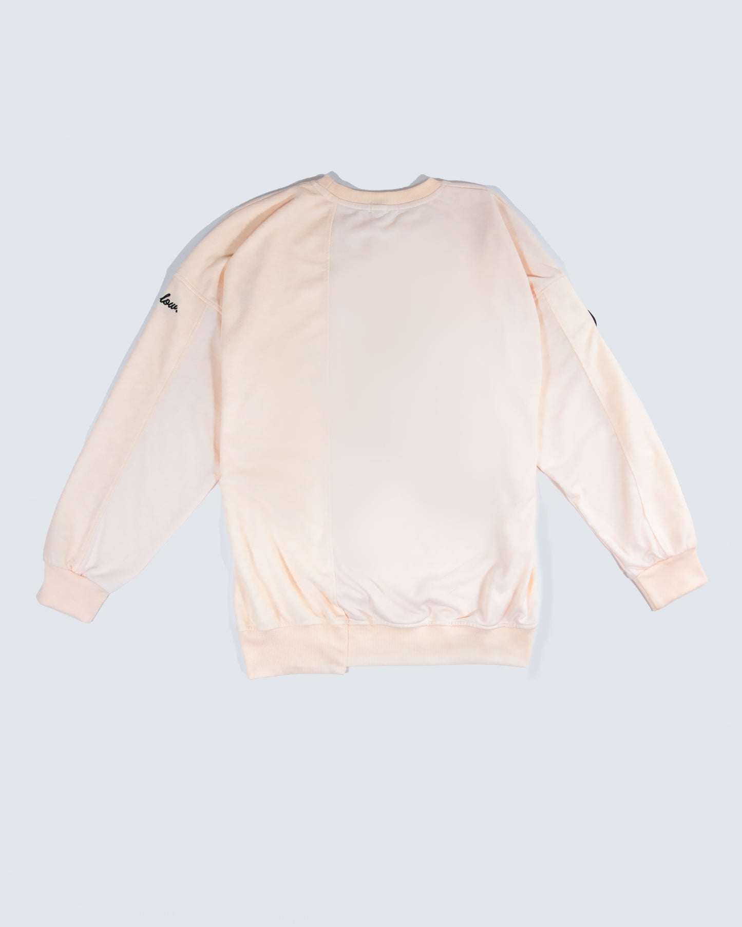 Paneled Long Sleeve Crewneck (Manila)