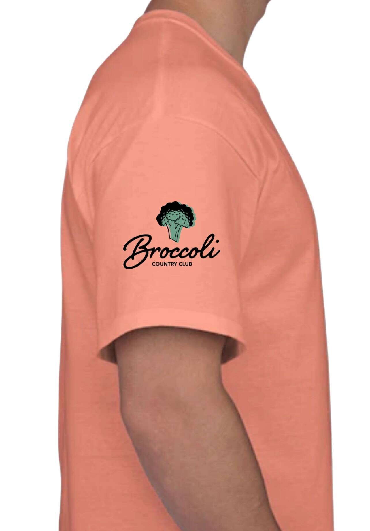 Classic Logo Tee (Terracotta)