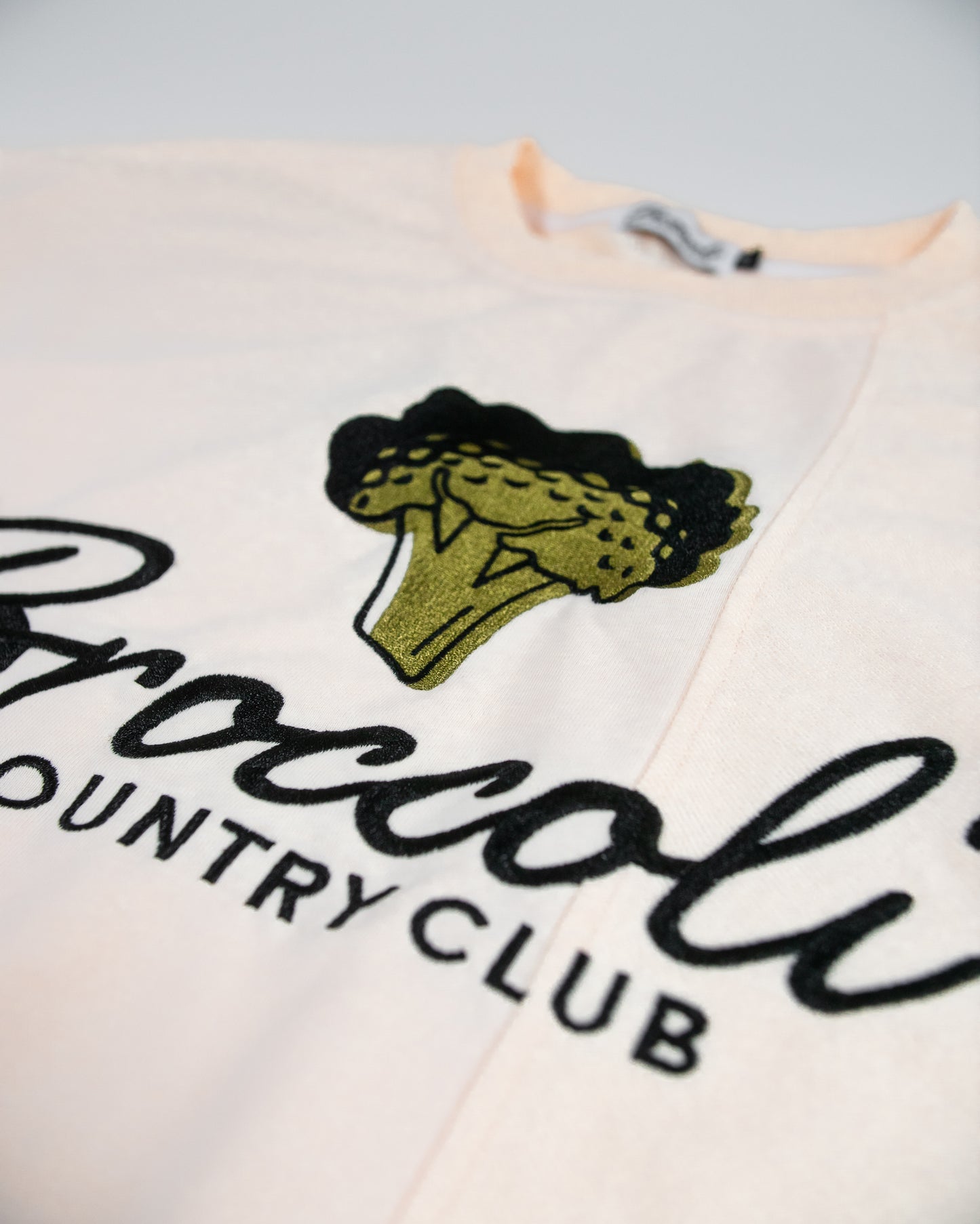 Paneled Long Sleeve Crewneck (Manila)