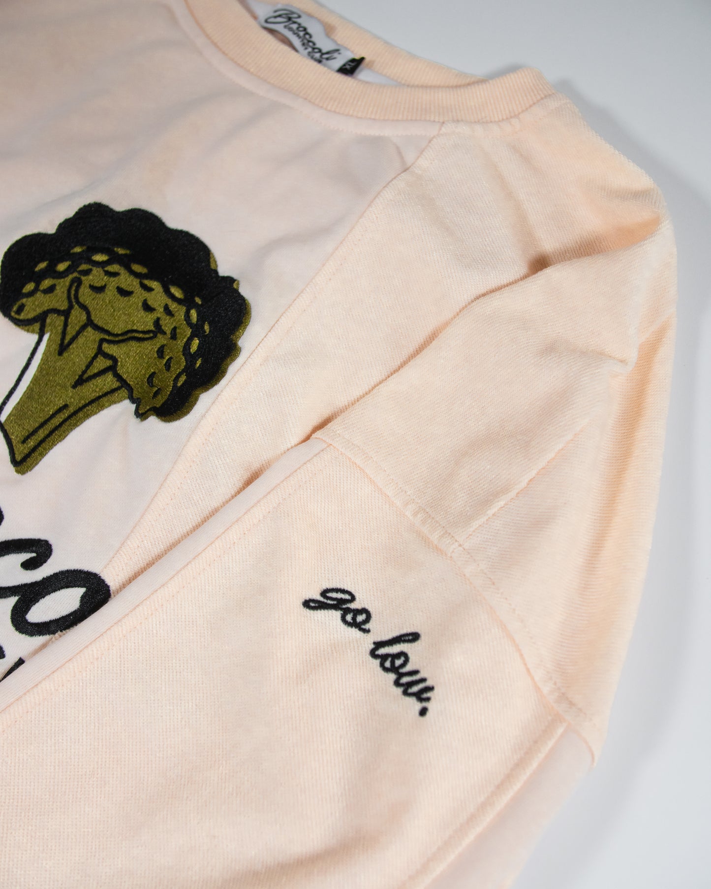 Paneled Long Sleeve Crewneck (Manila)