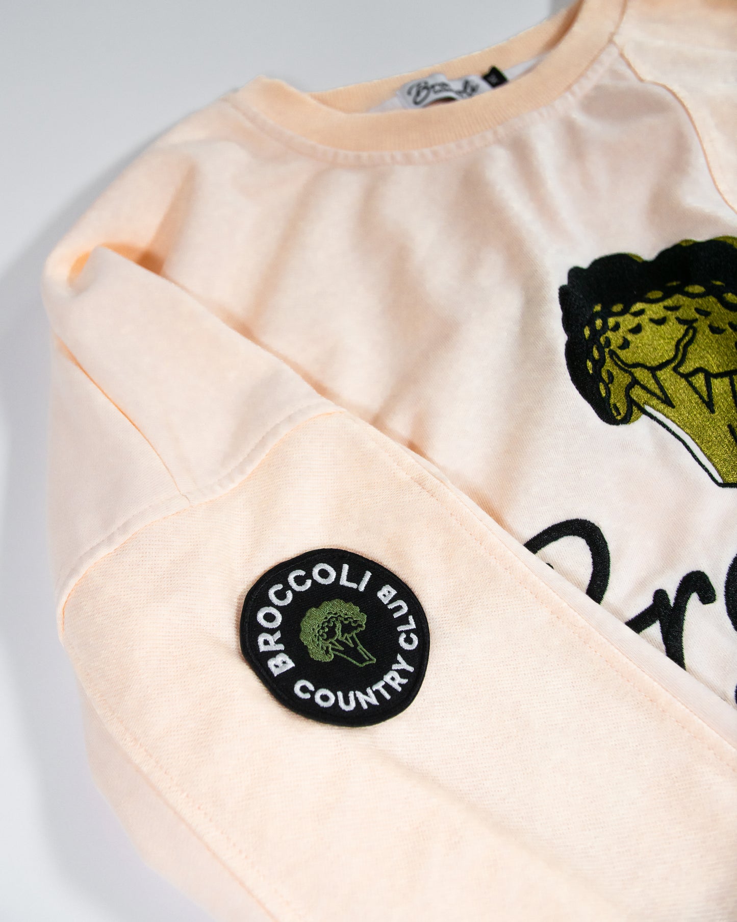 Paneled Long Sleeve Crewneck (Manila)